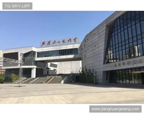 武汉排球队区域防守革新之路探索与实践分析
