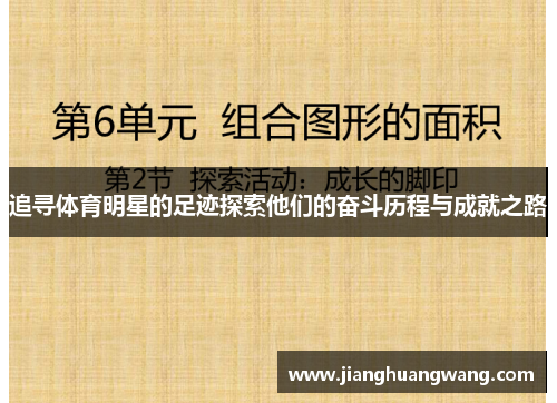 追寻体育明星的足迹探索他们的奋斗历程与成就之路