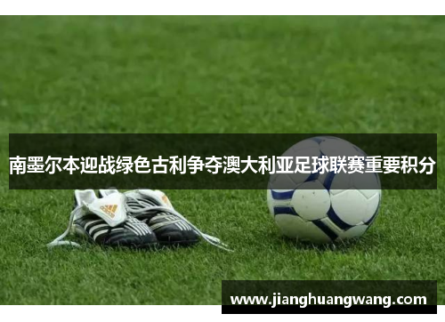 南墨尔本迎战绿色古利争夺澳大利亚足球联赛重要积分