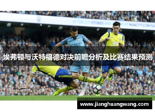 埃弗顿与沃特福德对决前瞻分析及比赛结果预测
